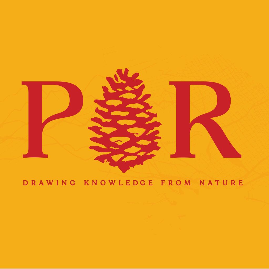 Gallery Opening– Paint Rock: Drawing Knowledge from&nbsp;Nature